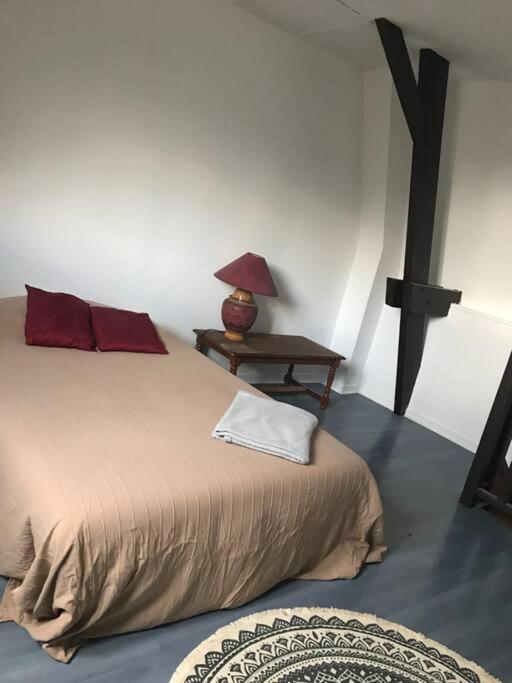 Maison Ville 50M2 5 Personnes แซงต์-ปิแอร์-เดส์-กอร์ ภายนอก รูปภาพ