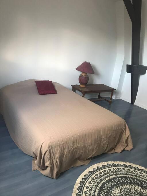 Maison Ville 50M2 5 Personnes แซงต์-ปิแอร์-เดส์-กอร์ ภายนอก รูปภาพ