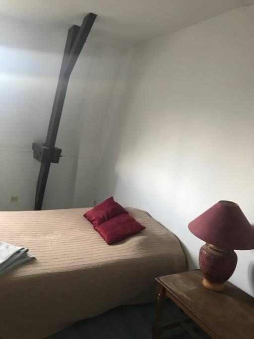 Maison Ville 50M2 5 Personnes แซงต์-ปิแอร์-เดส์-กอร์ ภายนอก รูปภาพ
